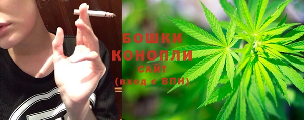 шишки Коряжма