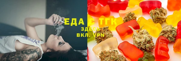 шишки Коряжма