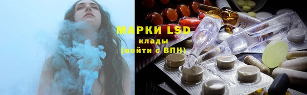 шишки Коряжма