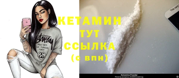 шишки Коряжма