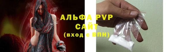 шишки Коряжма