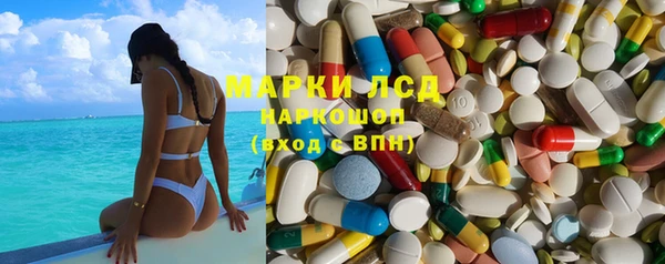 шишки Коряжма