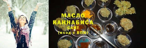 шишки Коряжма