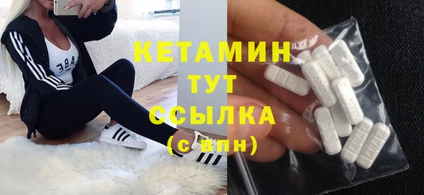шишки Коряжма