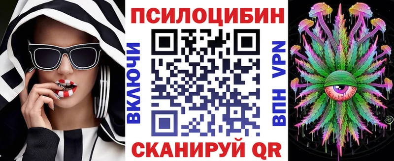 Купить Карачев Псилоцибиновые грибы Psilocybine cubensis